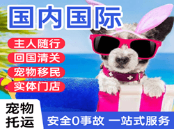 上海虹桥空运代理国际宠物托运 【国